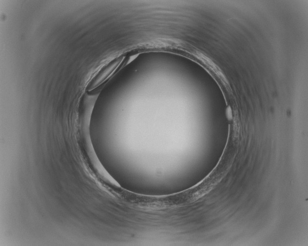 X0000081280485200701251631