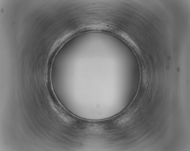 X0000081280486200701251631