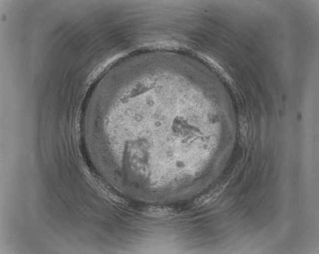 X0000081280487200701251631