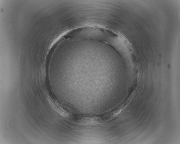 X0000081280488200701251631