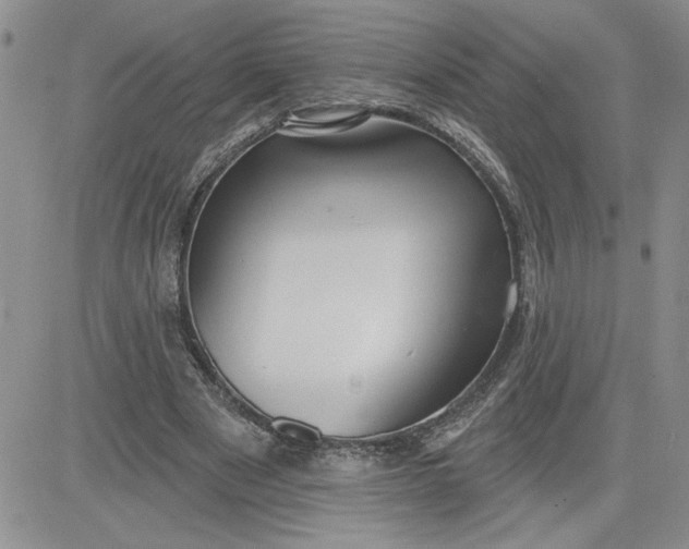 X0000081280489200701251631