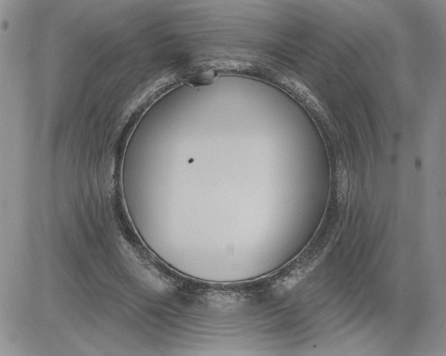 X0000081280490200701251631