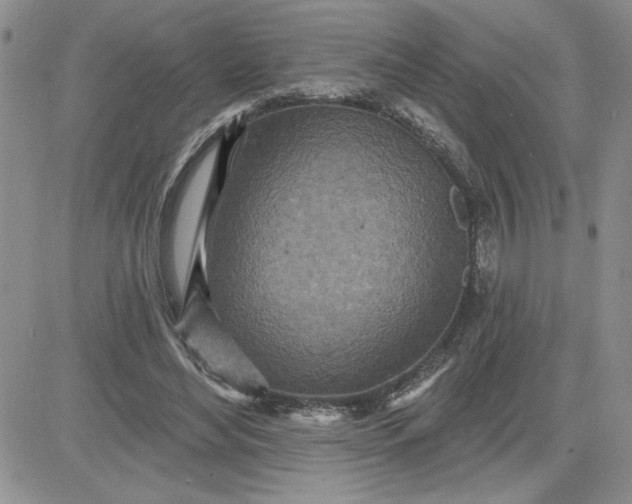 X0000081280492200701251631