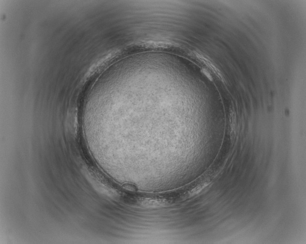 X0000081280494200701251631