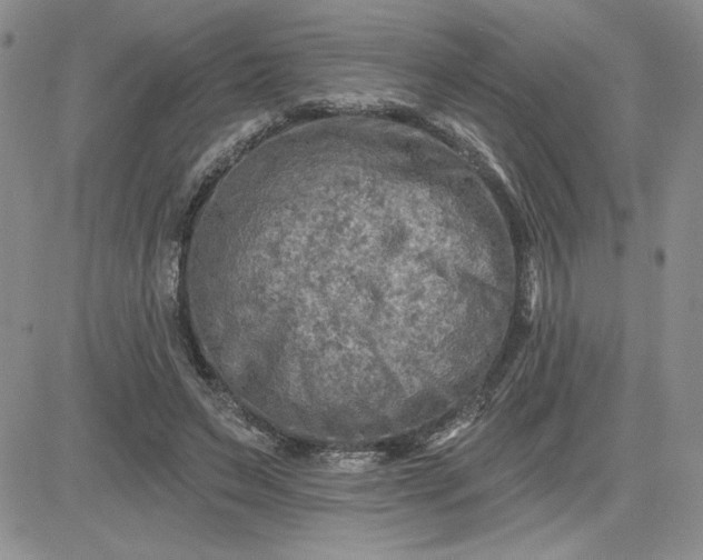 X0000081280495200701251631