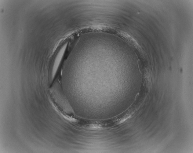 X0000081280496200701251631