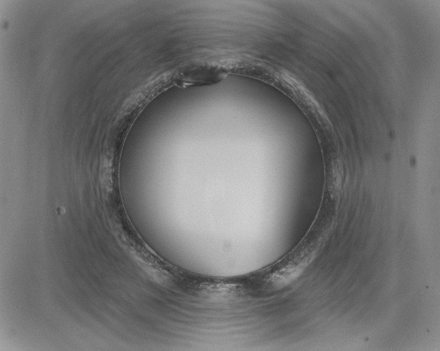 X0000081280497200701251631