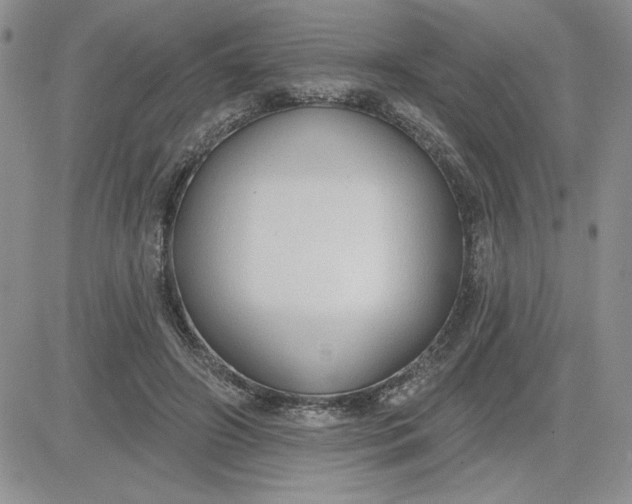 X0000081280498200701251631