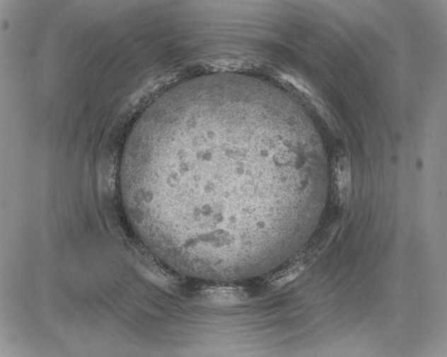 X0000081280499200701251631