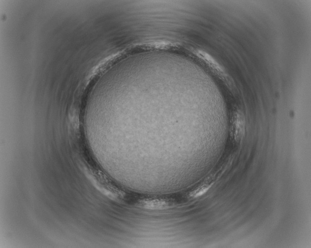 X0000081280500200701251631