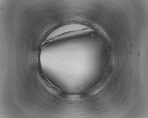 X0000081280501200701251631