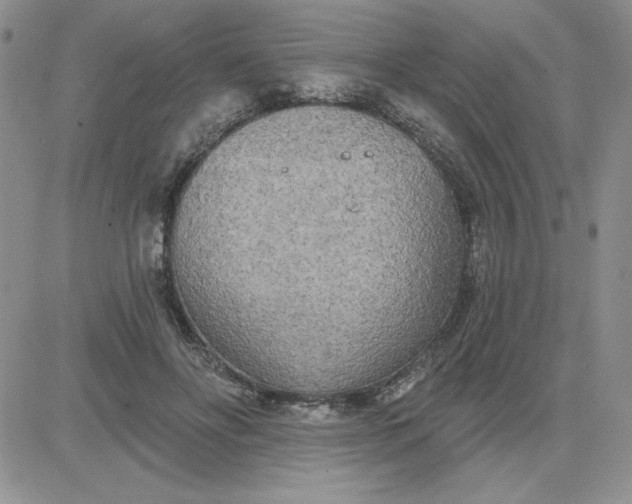 X0000081280502200701251631