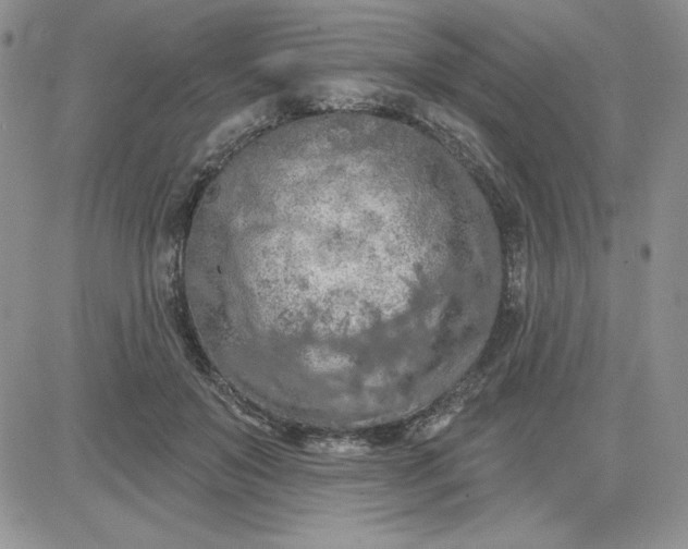 X0000081280503200701251631