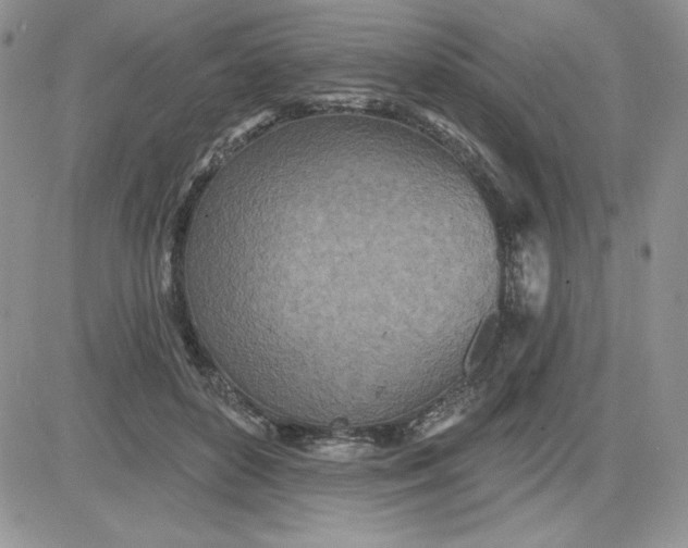 X0000081280504200701251631