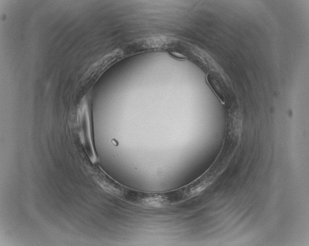 X0000081280505200701251631