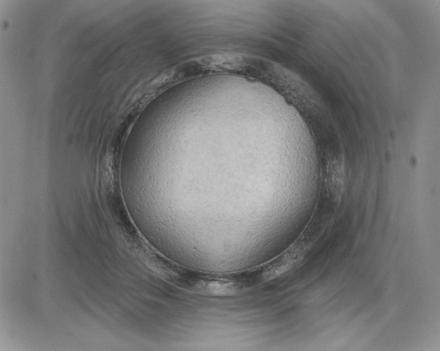 X0000081280506200701251631