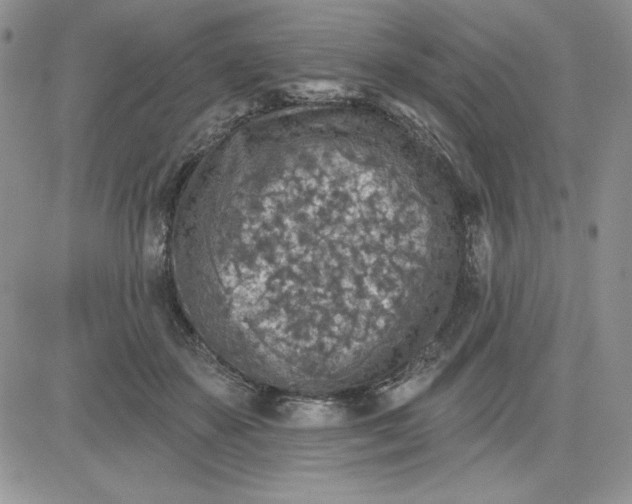 X0000081280507200701251631