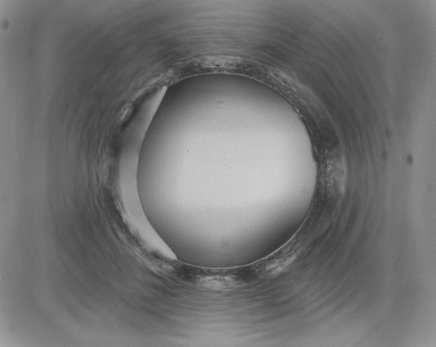 X0000081280508200701251631