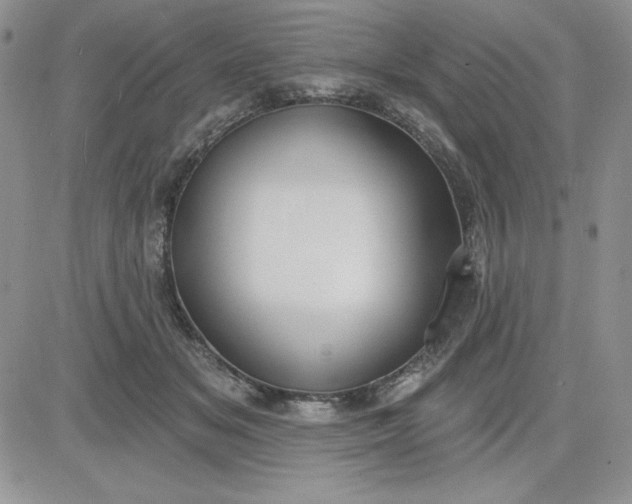 X0000081280509200701251631