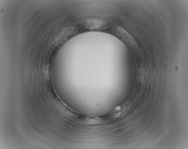 X0000081280510200701251631