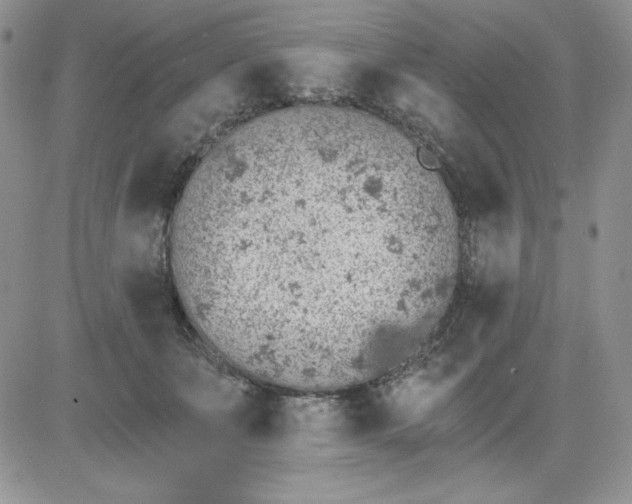 X0000081280511200701251631