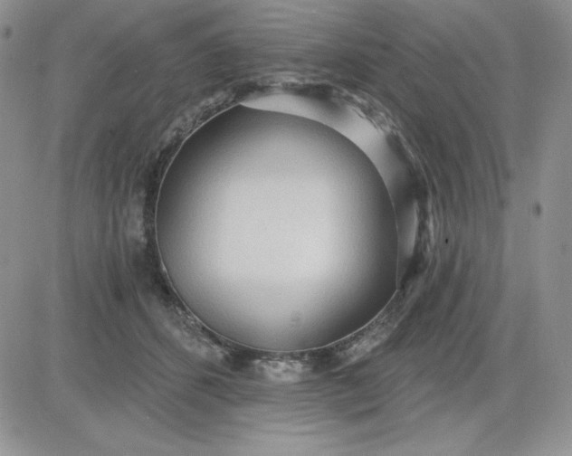 X0000081280512200701251631