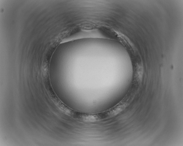 X0000081280513200701251631