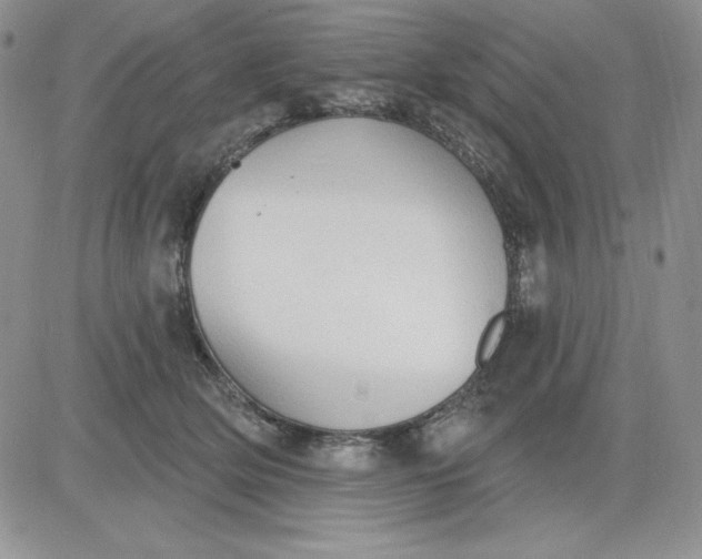 X0000081280514200701251631