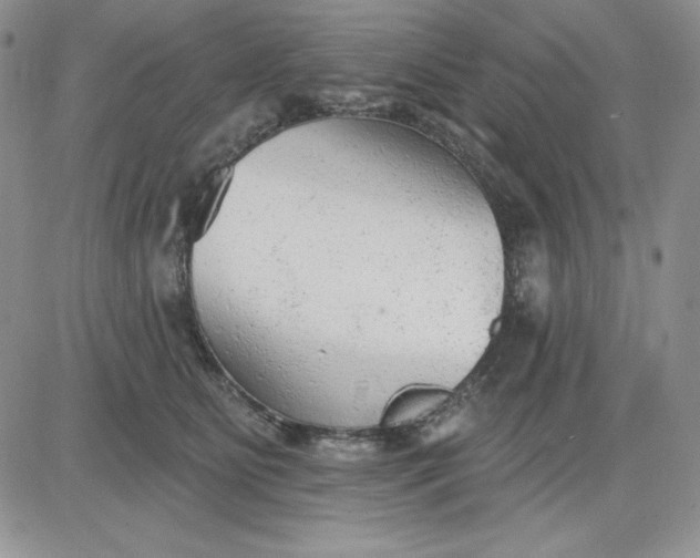 X0000081280515200701251631