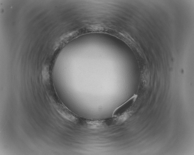 X0000081280516200701251631