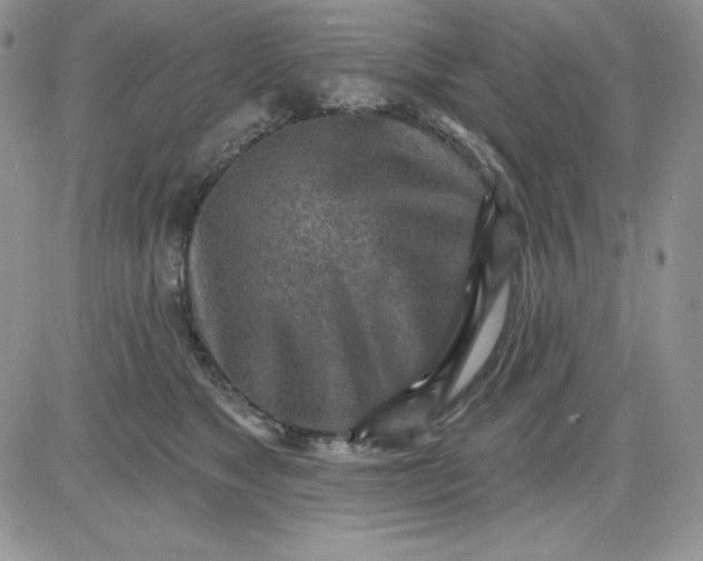 X0000081280517200701251631