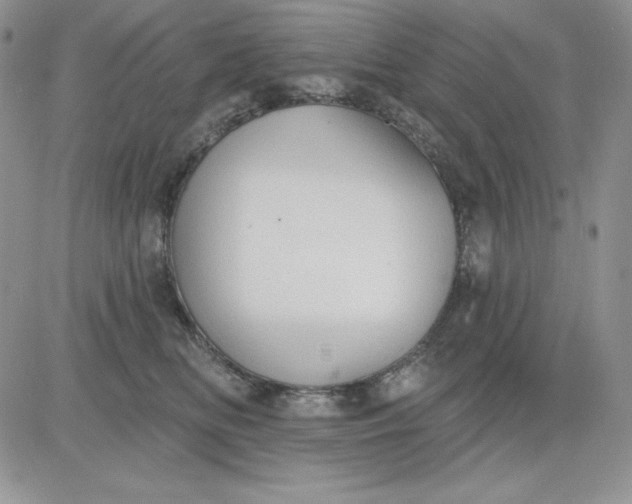 X0000081280518200701251631