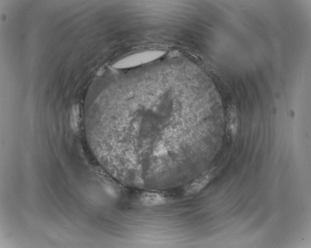 X0000081280519200701251631