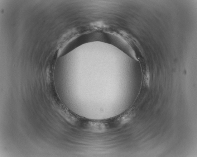 X0000081280520200701251631