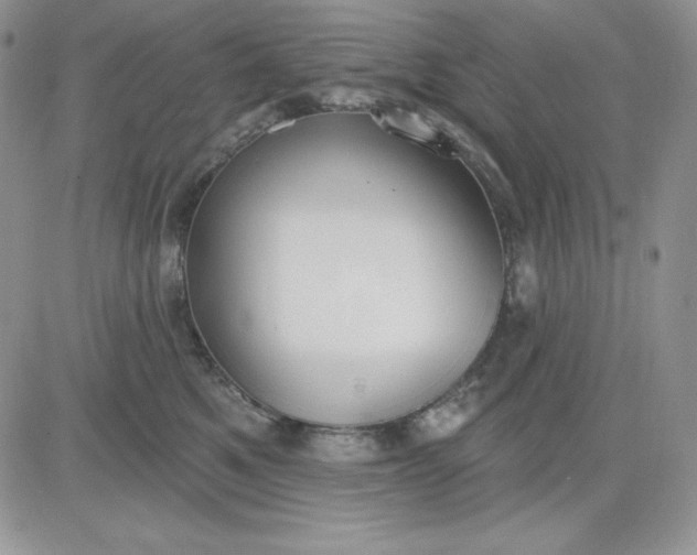 X0000081280521200701251631