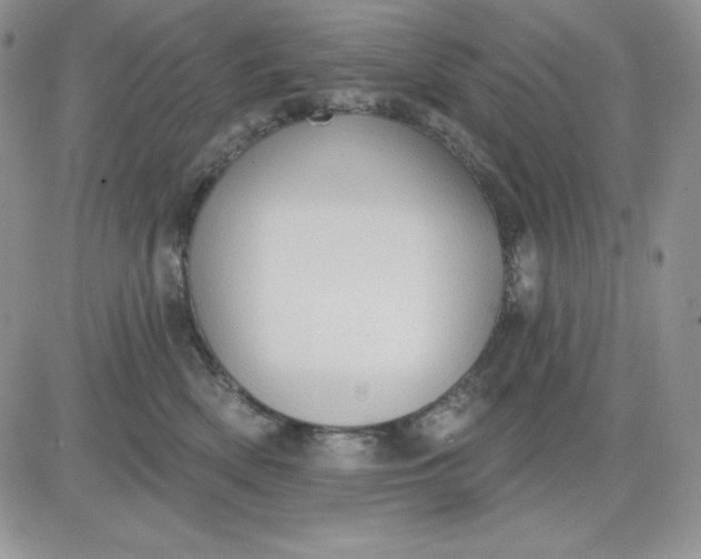 X0000081280522200701251631