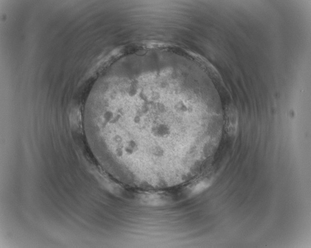 X0000081280523200701251631