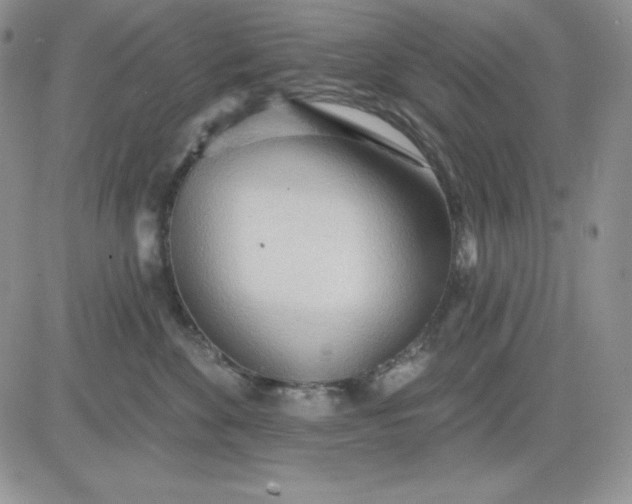 X0000081280524200701251631