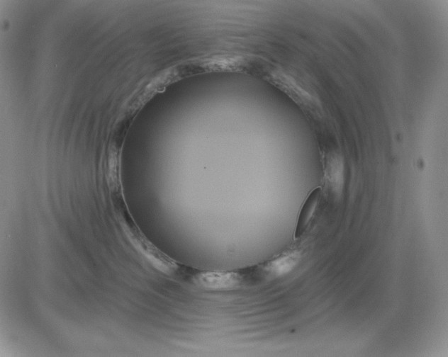 X0000081280526200701251631