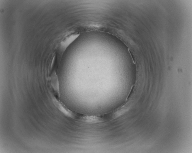 X0000081280528200701251631