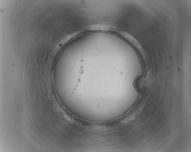 X0000081280529200701251630