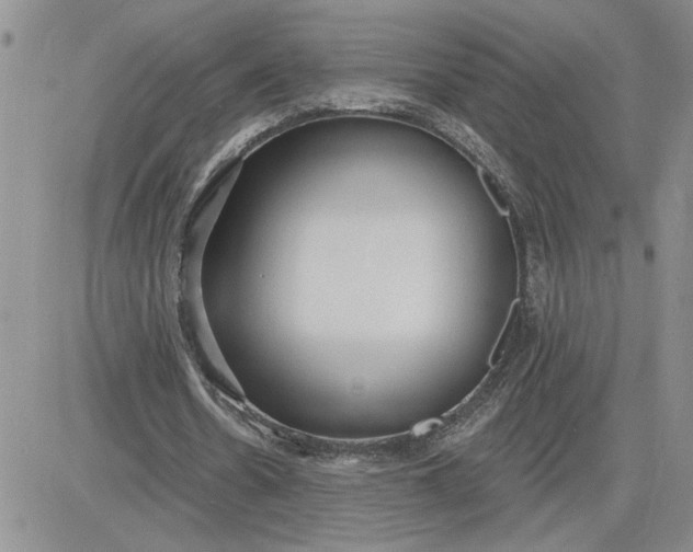 X0000081280530200701251630