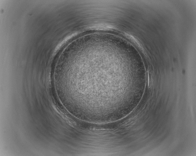 X0000081280531200701251630