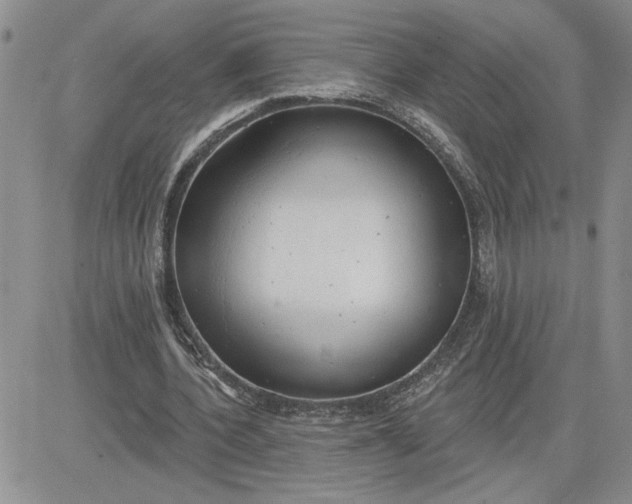 X0000081280532200701251630