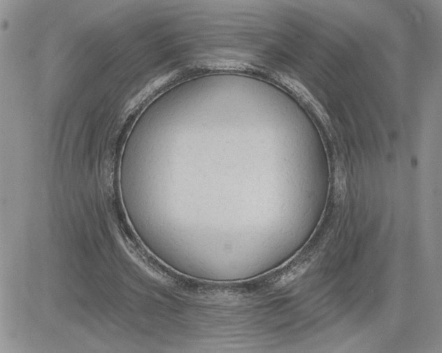 X0000081280533200701251630