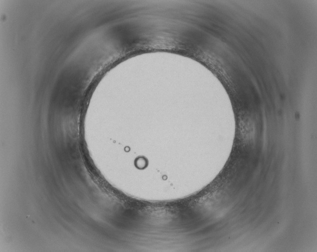 X0000081280534200701251630