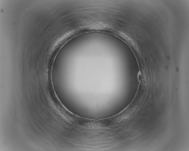 X0000081280535200701251630