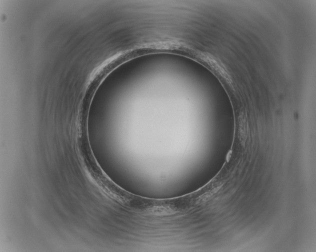 X0000081280536200701251630