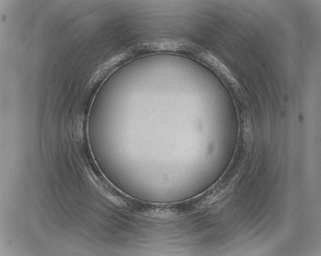 X0000081280537200701251630