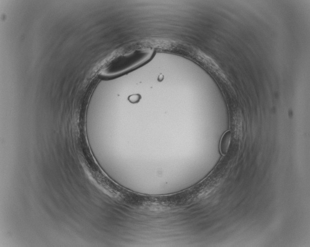 X0000081280538200701251630